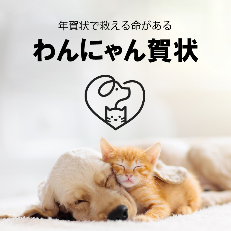 年賀状で救える命がある。寄付金付き わんにゃん年賀状